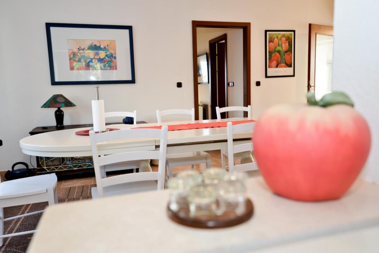 Apartmani Vidikovac Dokoza Zadar Extérieur photo